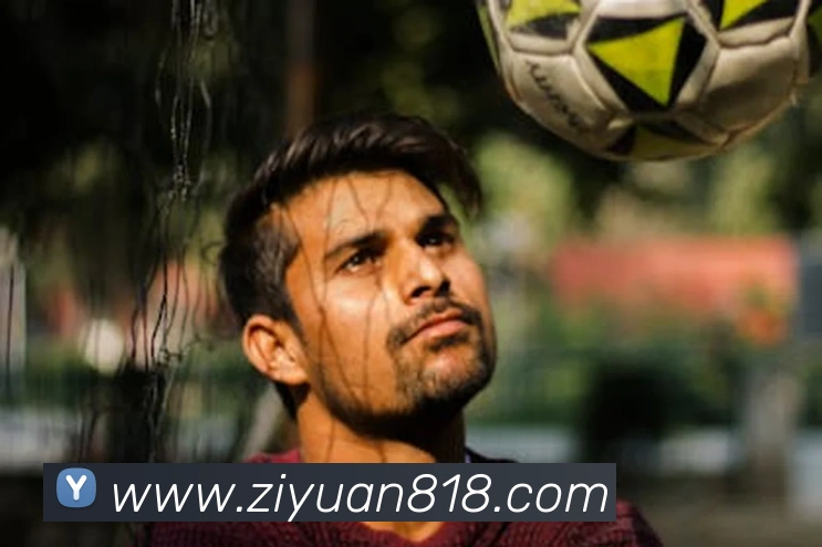 App Interface Preview